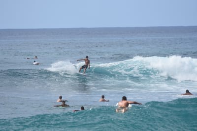 DSC_9874.JPG