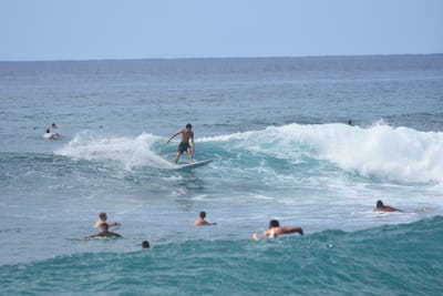 DSC_9875.JPG