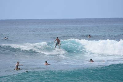 DSC_9876.JPG