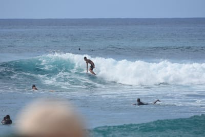 DSC_9877.JPG