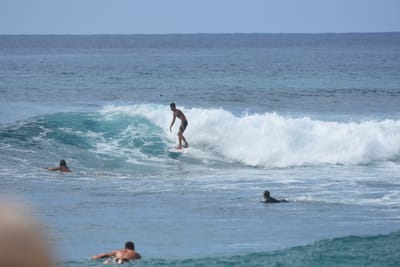DSC_9878.JPG