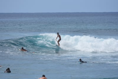 DSC_9879.JPG