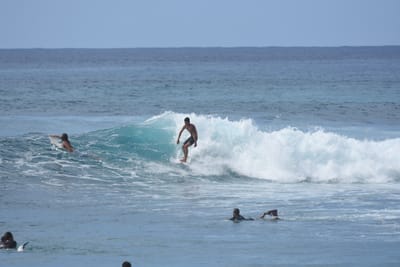 DSC_9880.JPG