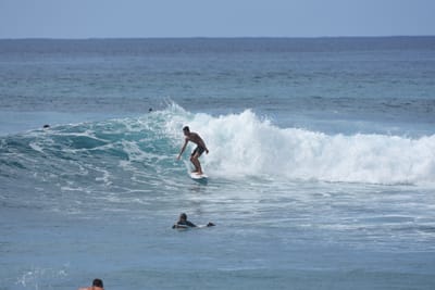 DSC_9881.JPG