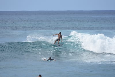 DSC_9884.JPG