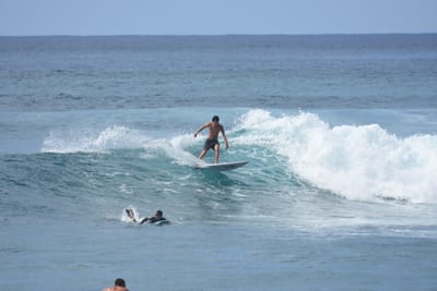 DSC_9885.JPG
