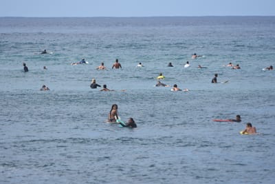 DSC_9889.JPG