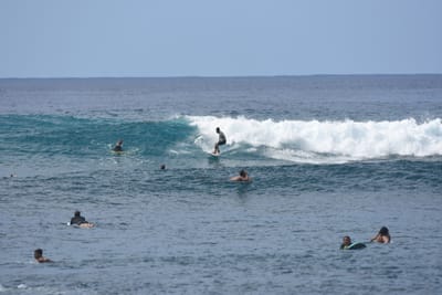 DSC_9890.JPG