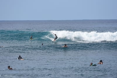DSC_9891.JPG