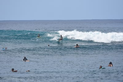 DSC_9892.JPG