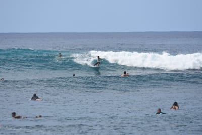 DSC_9893.JPG