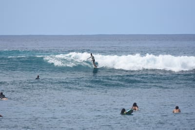 DSC_9894.JPG