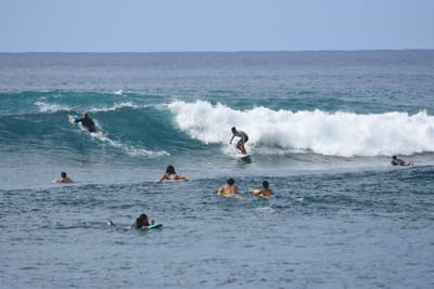 DSC_9895.JPG