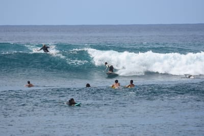 DSC_9896.JPG
