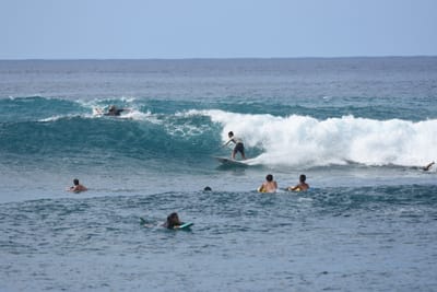 DSC_9897.JPG