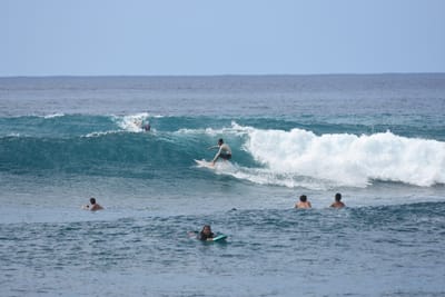 DSC_9898.JPG