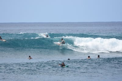 DSC_9899.JPG