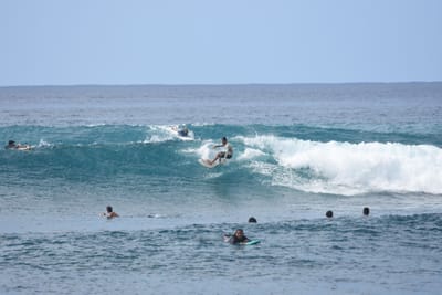 DSC_9900.JPG