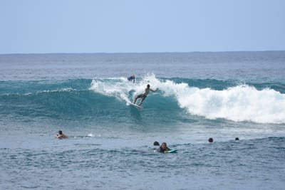DSC_9903.JPG