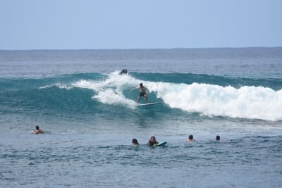 DSC_9904.JPG