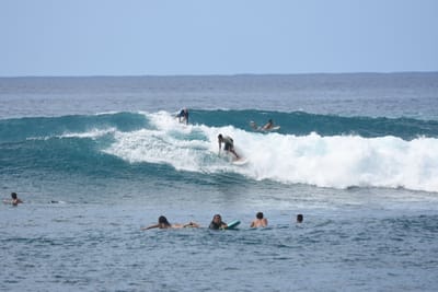 DSC_9905.JPG