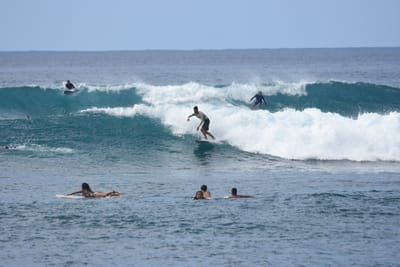 DSC_9906.JPG