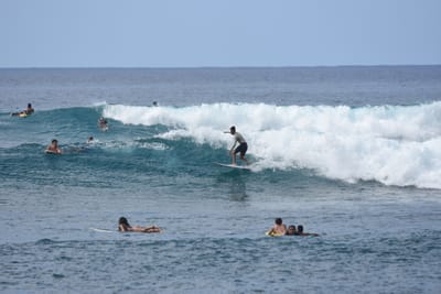 DSC_9908.JPG