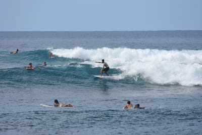 DSC_9909.JPG