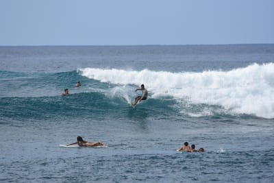 DSC_9910.JPG