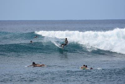DSC_9911.JPG