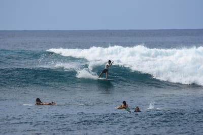 DSC_9913.JPG