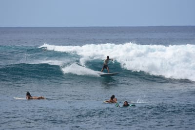 DSC_9914.JPG