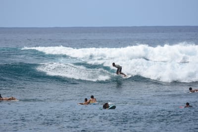 DSC_9915.JPG