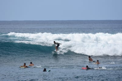 DSC_9916.JPG