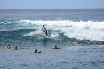 DSC_9917.JPG
