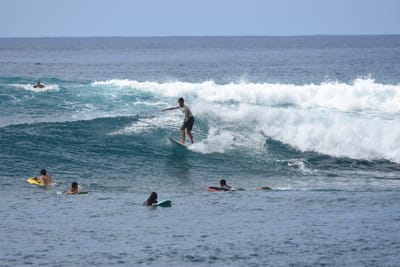 DSC_9918.JPG