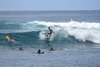DSC_9919.JPG