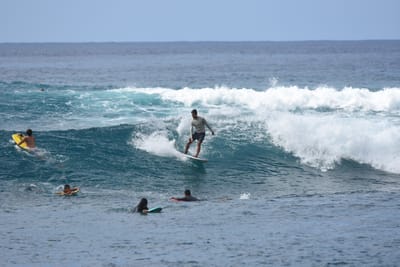 DSC_9920.JPG