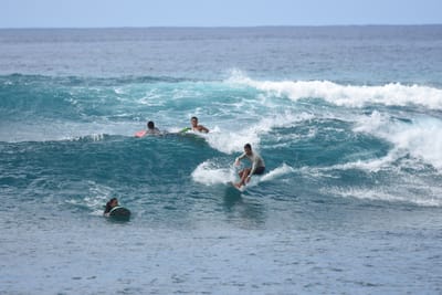 DSC_9925.JPG