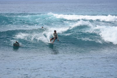 DSC_9926.JPG