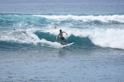 DSC_9929.JPG