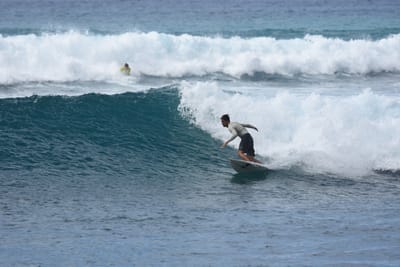 DSC_9931.JPG