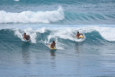 DSC_9950.JPG