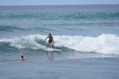 DSC_9952.JPG