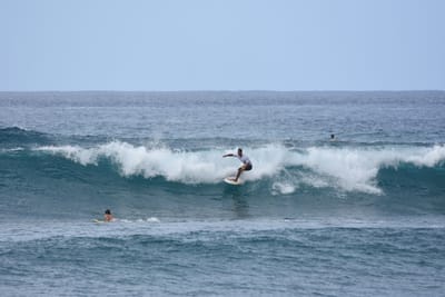 DSC_9971.JPG