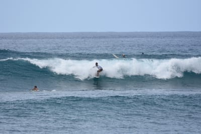 DSC_9972.JPG