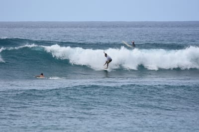 DSC_9973.JPG