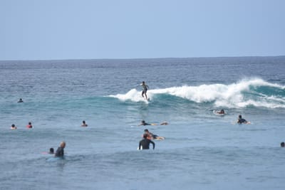 DSC_9975.JPG