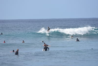 DSC_9976.JPG