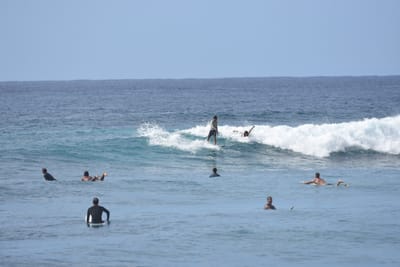DSC_9977.JPG